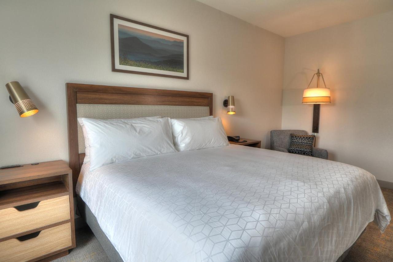 Holiday Inn & Suites Pigeon Forge Convention Center, An Ihg Hotel Dış mekan fotoğraf